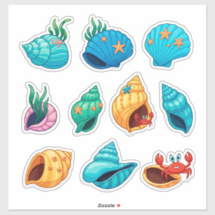 Colourful Sea Shells and Ocean Creatures
