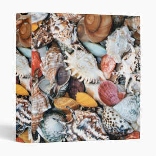 Colourful Seashells Binder