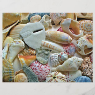 Colourful Seashells Scrapbook Pages Craft Paper