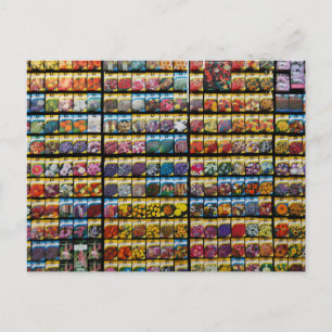 Colourful Seed Packet Postcard