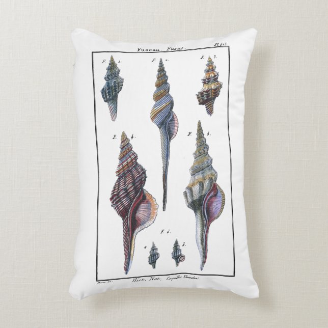 Colourful Seven Seashells Accent Pillow (Front(Vertical))