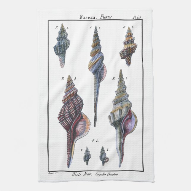 Colourful Seven Seashells Kitchen Towel (Vertical)