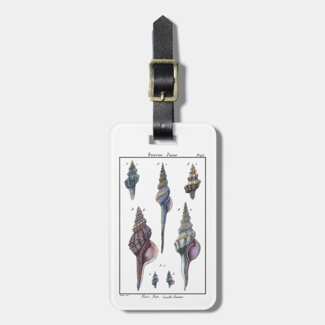Colourful Seven Seashells Luggage Tag (Front Vertical)