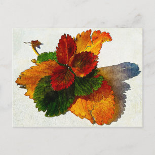 Colourful shades of autumn leaves postcard