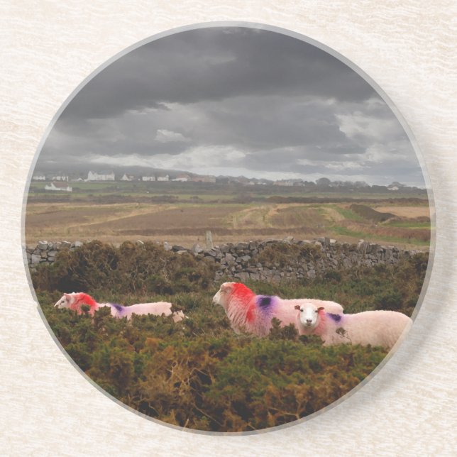 Colourful sheep coaster (Front)