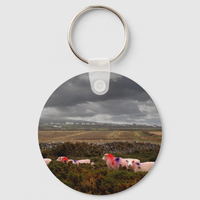 Colourful sheep keychain (Front)