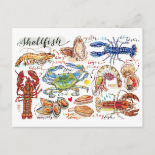 Colourful Shellfish Postcard
