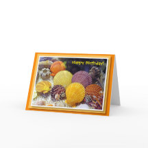 Colourful Shells Birthday Card