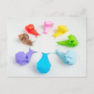 Colourful Snails Postcard