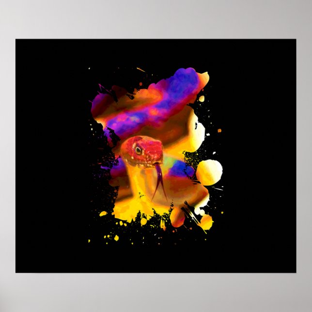 Colourful Snake Poster (Front)