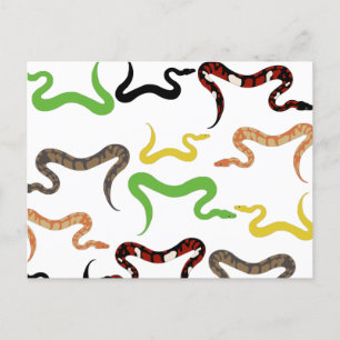 Colourful Snakes Python Reptile Pattern Holiday Postcard