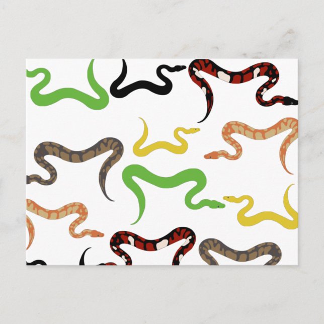 Colourful Snakes Python Reptile Pattern Holiday Postcard (Front)
