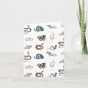 Colourful Snakes Reptile Animal Pattern Card