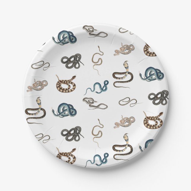 Colourful Snakes Reptile Animal Pattern Paper Plate (Front)