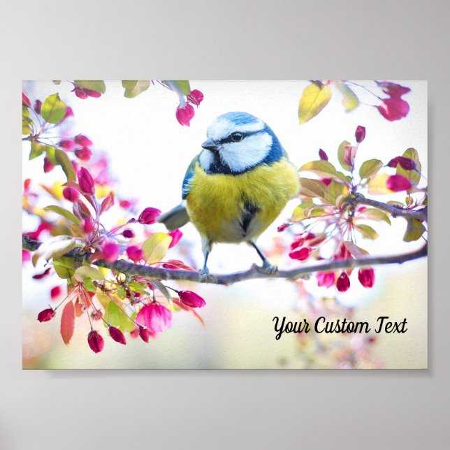 Colourful Songbird & Spring Blossoms, Your Message Poster (Front)