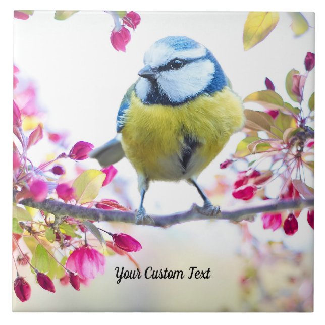 Colourful Songbird & Spring Blossoms, Your Message Tile (Front)