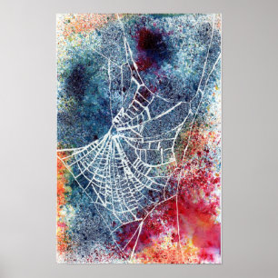 colourful spider web poster