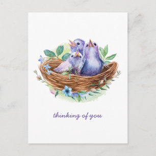 Colourful Spring Baby Birds in Nest Thinking of Yo Postcard