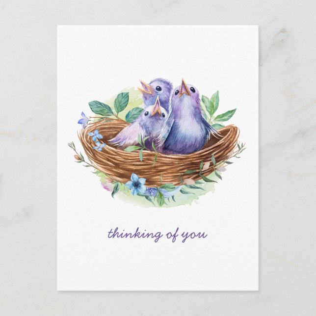 Colourful Spring Baby Birds in Nest Thinking of Yo Postcard (Front)