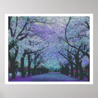 Colourful Spring Blossom Park Landscape
