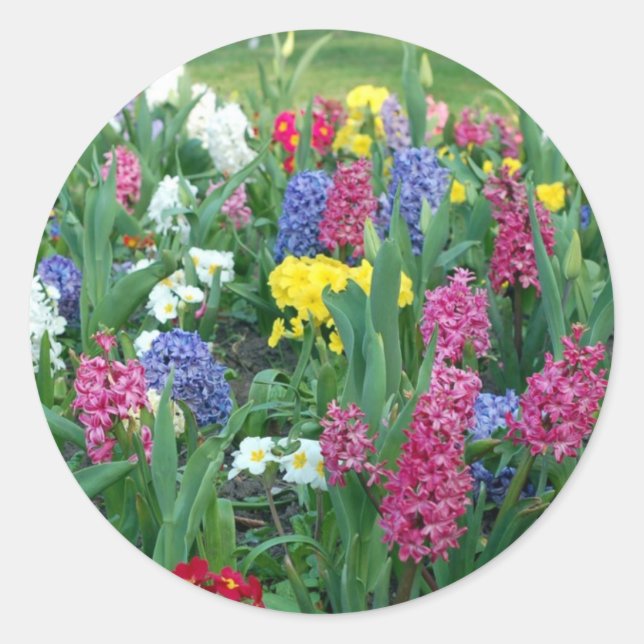 Colourful Spring Flowers Classic Round Sticker (Front)