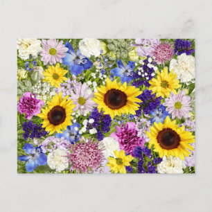 Colourful Spring Flowers Floral Collage Photo Postcard
