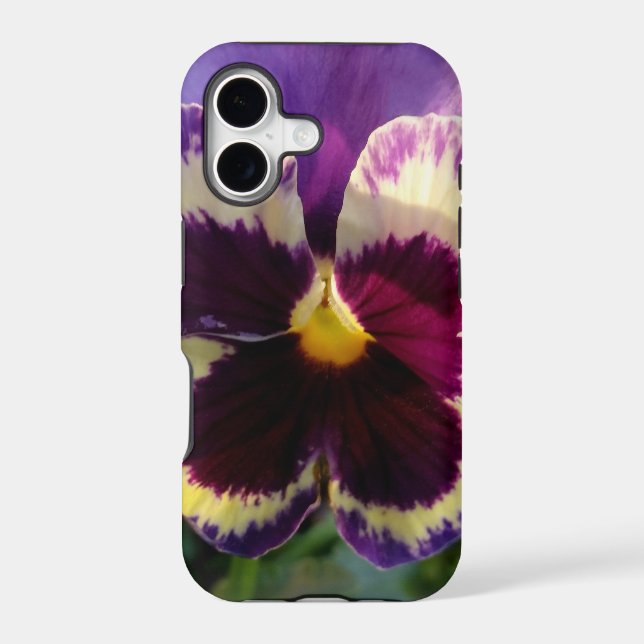 colourful spring Pansy (Back)