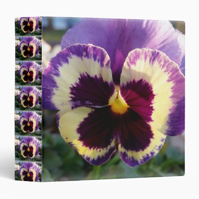 colourful spring Pansy Binder (Front/Spine)