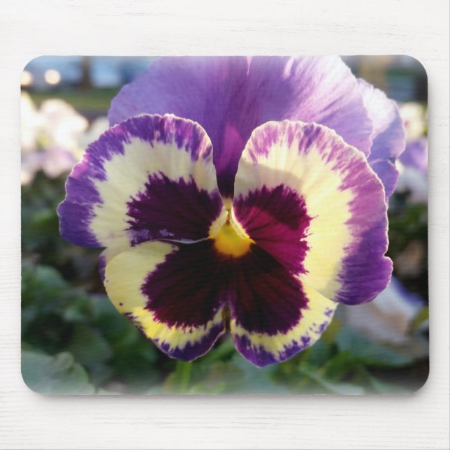 colourful spring Pansy Mouse Pad (Front)
