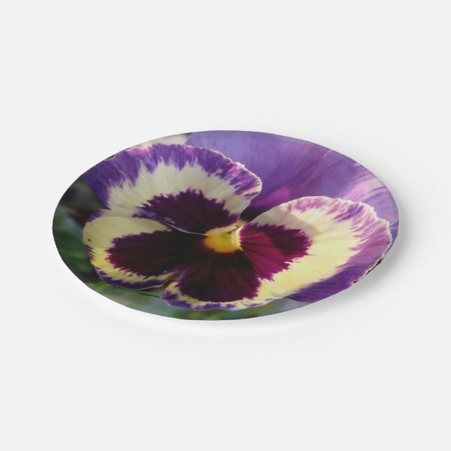 colourful spring Pansy Paper Plate (Angled)