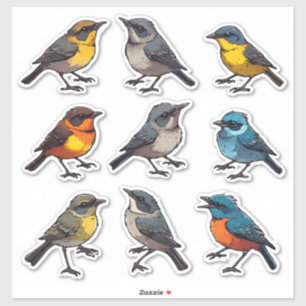 Colourful Spring Songbird Sticker Set Collection �
