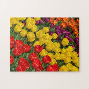 Colourful spring tulip rows jigsaw puzzle