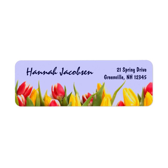 Colourful Spring Tulips Blue Background Flowers (Front)