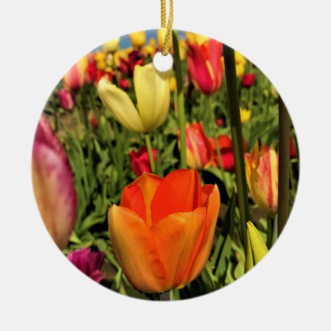 Colourful Spring Tulips Ceramic Ornament (Front)