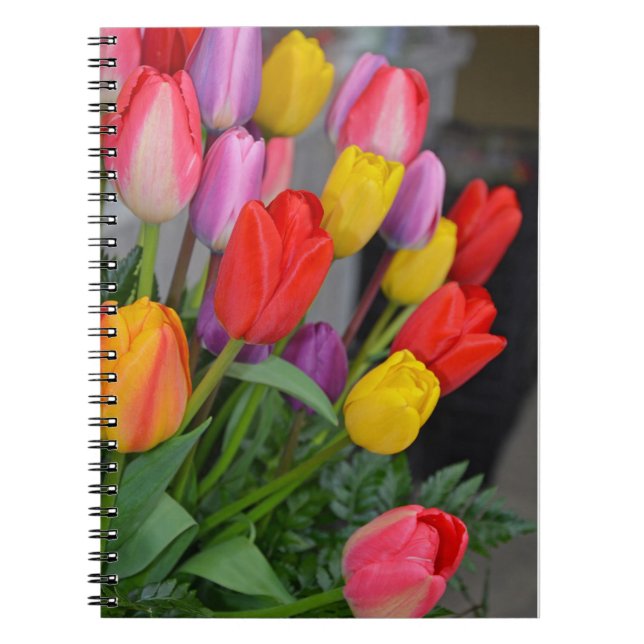 Colourful spring tulips notebook (Front)