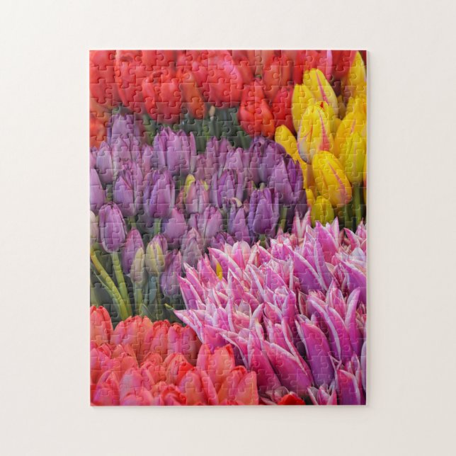 Colourful spring tulips puzzle (Vertical)
