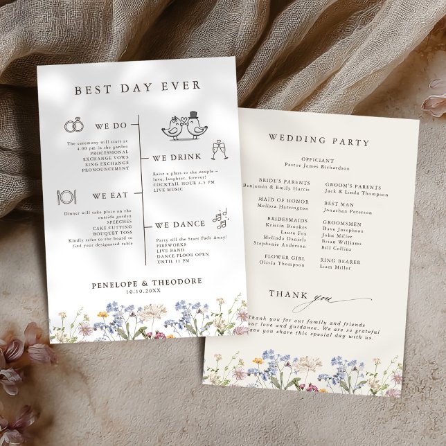 Colourful Spring Wildflower Meadow Garden  Program (Colorful Spring Wildflower Meadow Garden Program )