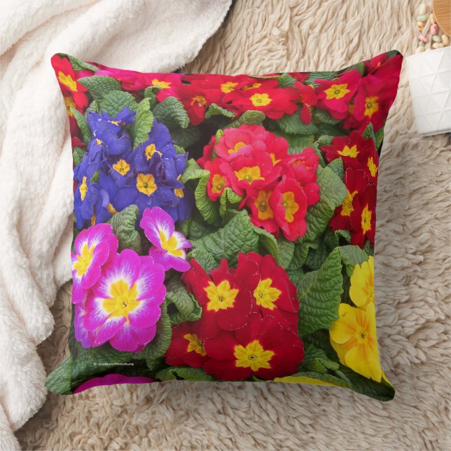 Colourful Springtime Medley of Primulas Throw Pillow (Blanket)