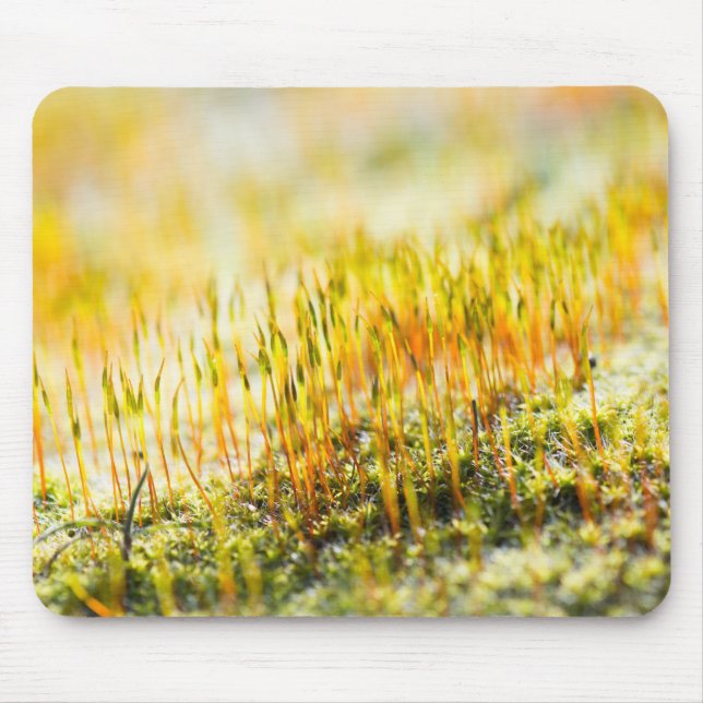 Colourful sprouts mouse pad (Front)