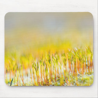 Colourful sprouts mouse pad