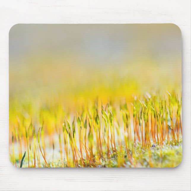 Colourful sprouts mouse pad (Front)