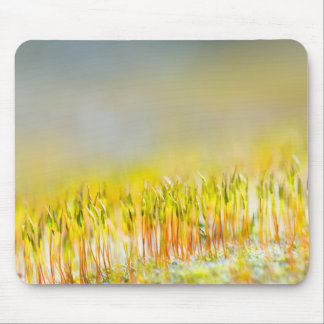 Colourful sprouts mouse pad