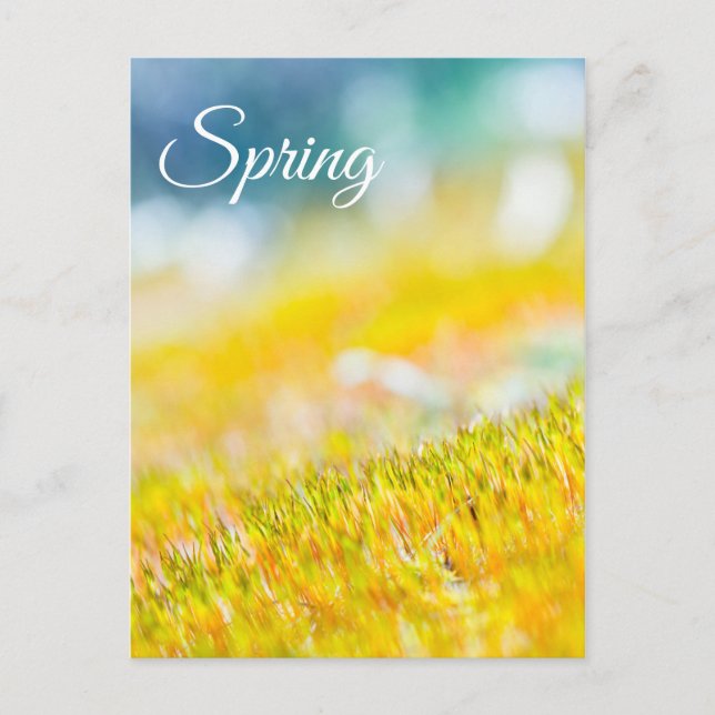 Colourful sprouts postcard (Front)