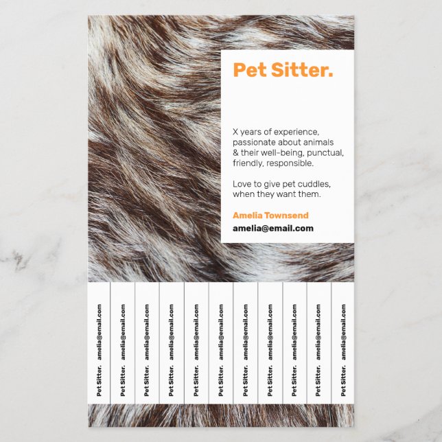 Colourful Stand out Pet Sitting Detachable Info Ad Flyer (Front)
