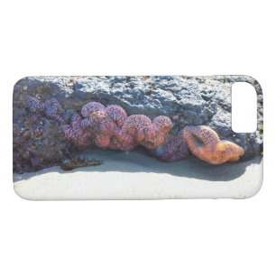 Colourful Starfish at Bob Creek, OR Case-Mate iPhone Case