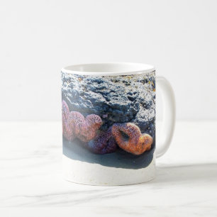 Colourful Starfish at Bob Creek, OR Coffee Mug