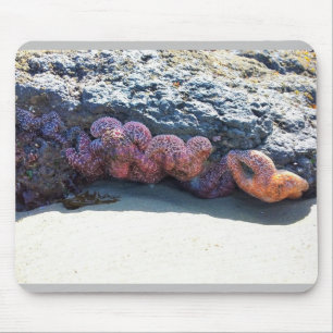Colourful Starfish at Bob Creek, OR Mouse Pad