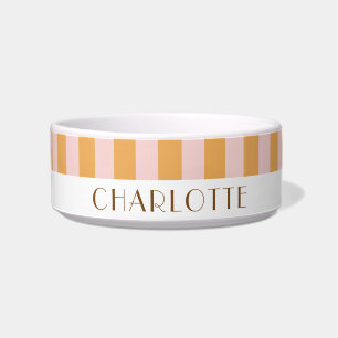 Colourful Stylish Bright Colour Minimalist Stripes Bowl