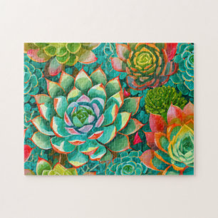 Colourful Succulent 2 Photo Puzzles Internet Jigsa