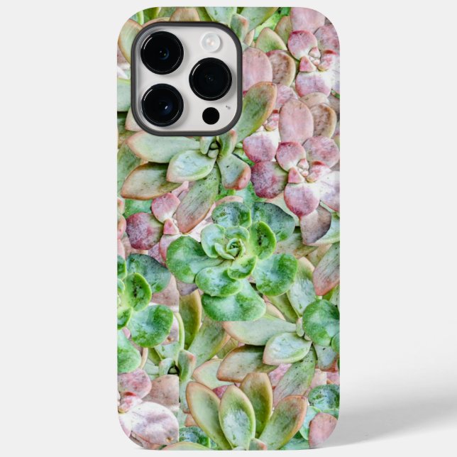 Colourful Succulent      Case-Mate iPhone Case (Back)